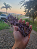 Lou leopard sunnies