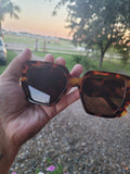 Lou leopard sunnies