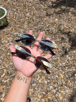 Celi sunglasses