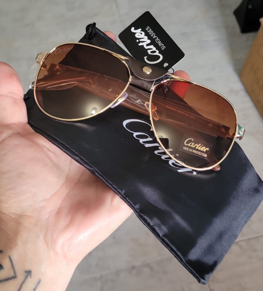 Cart branded sunnies includes dust bag brown/black (2 options)