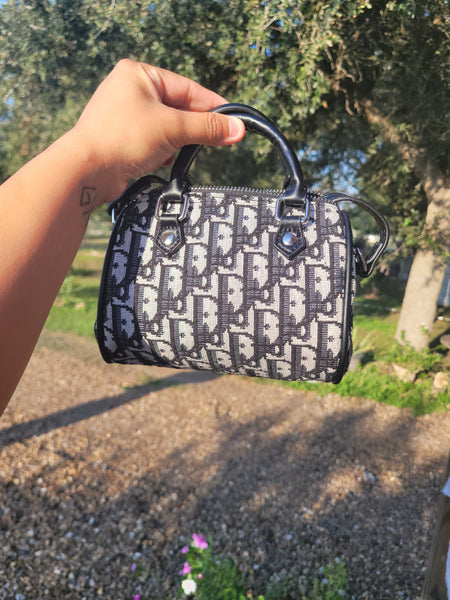 Dio mini handbag no box