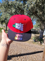 Mexico baseball hat