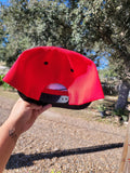 Mexico baseball hat